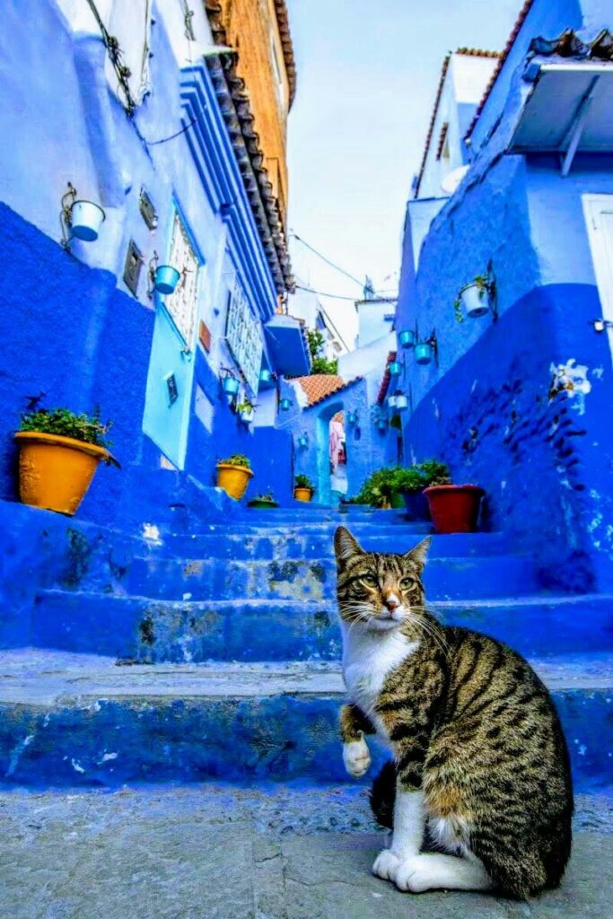 1d5dc452e6ecf063eab341b1e7e753ab